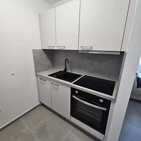 Apartma Bertoki コペル