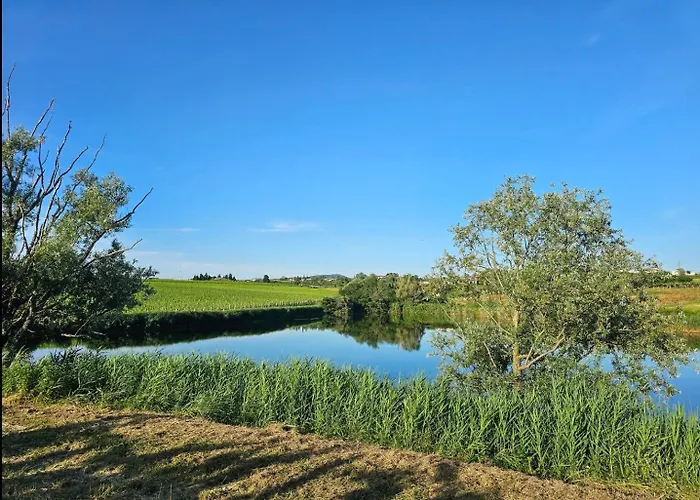 아파트 Apartma Bertoki *